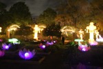resIMG_20160330_190459_5770.JPG